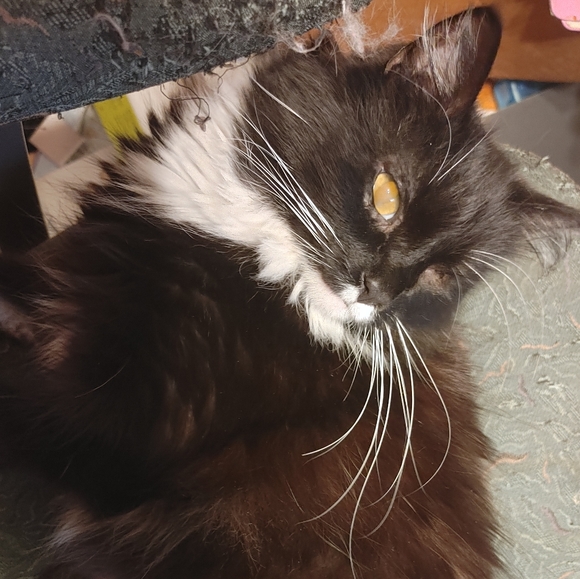 Meet your Posher, Luke - Picture 5 of 5